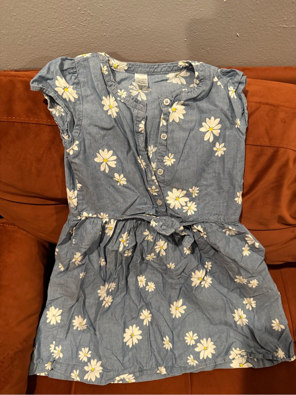Carter's Blue Floral Daisy Button-Front Dress